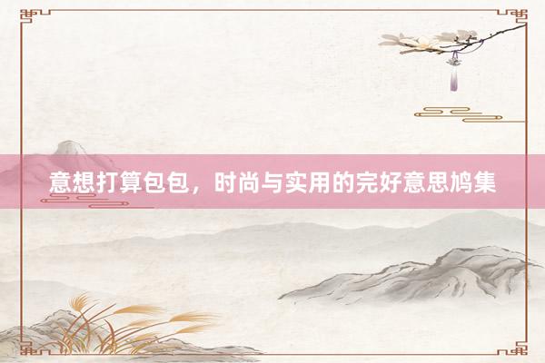 意想打算包包，时尚与实用的完好意思鸠集