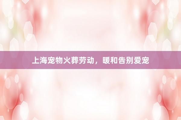 上海宠物火葬劳动,暖和告别爱宠